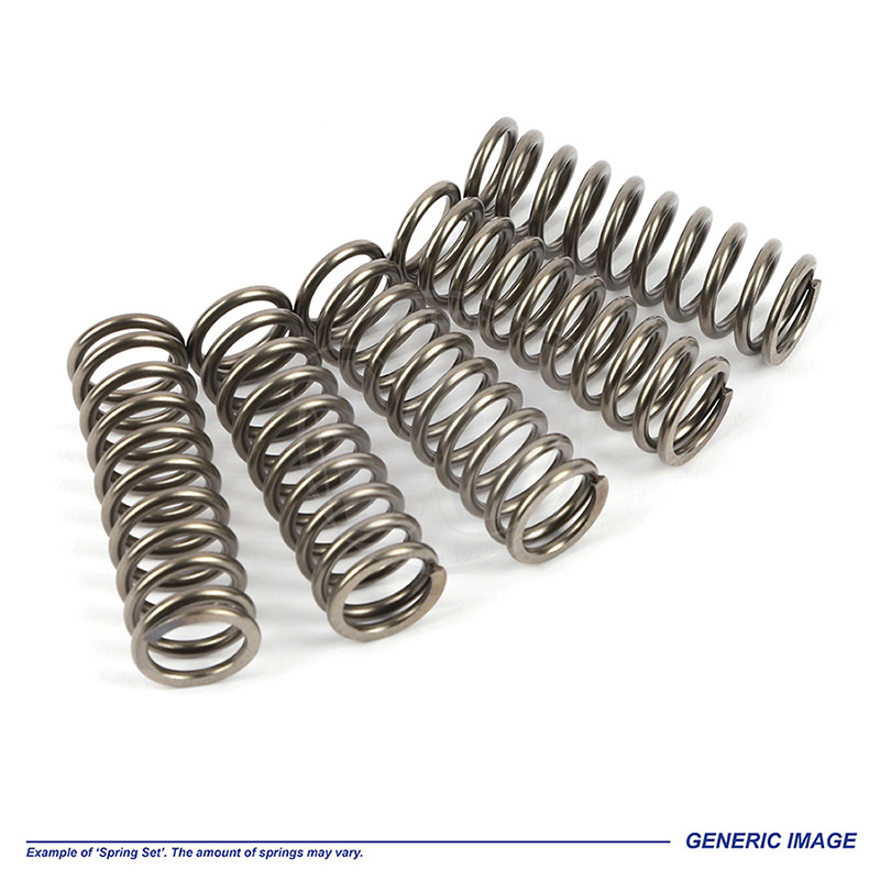 0RK6051_EBC Clutch Spring Set Generic Two.jpg